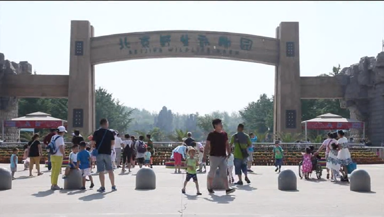 至尊国际 – 至尊服务,至尊享受