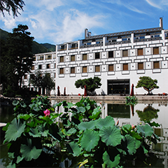 至尊国际 – 至尊服务,至尊享受