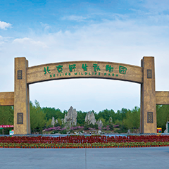 至尊国际 – 至尊服务,至尊享受